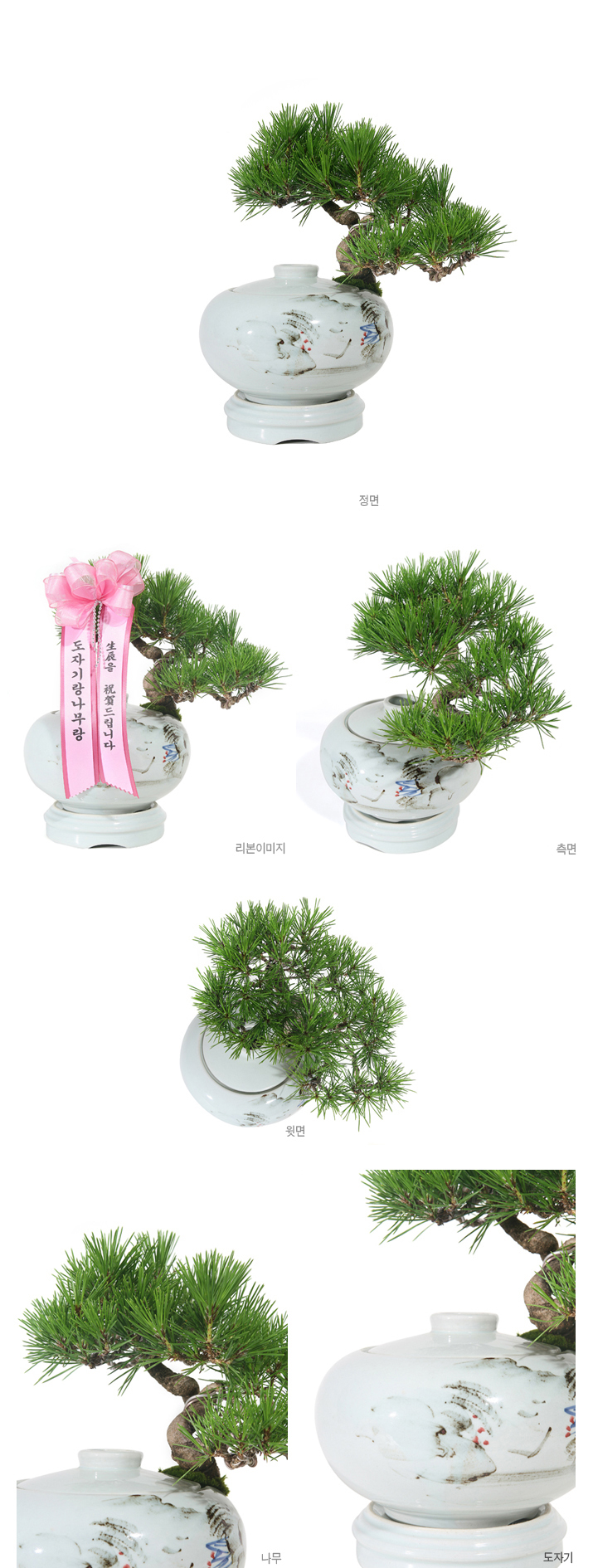 설명이미지