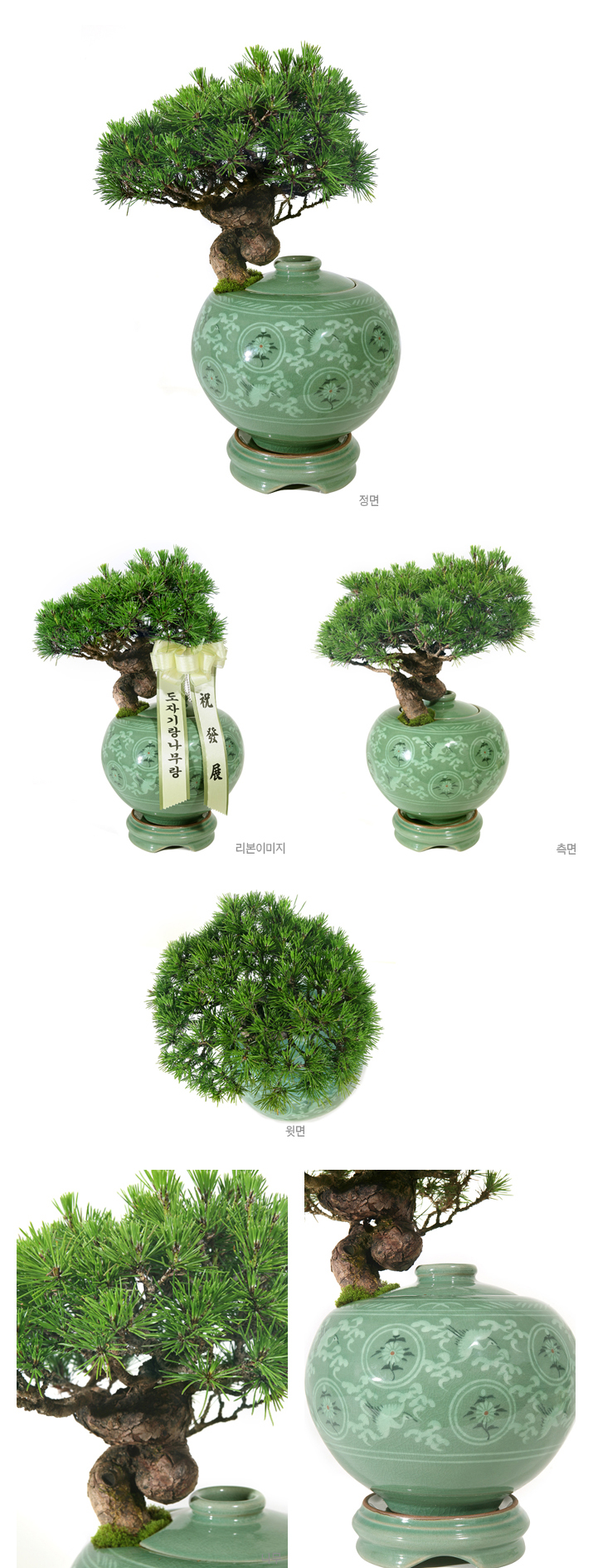 설명이미지