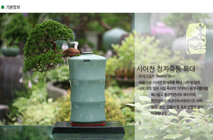 설명이미지