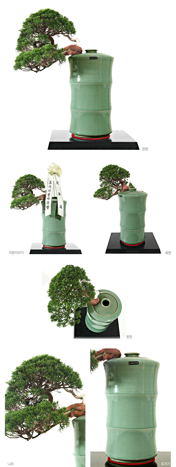 설명이미지
