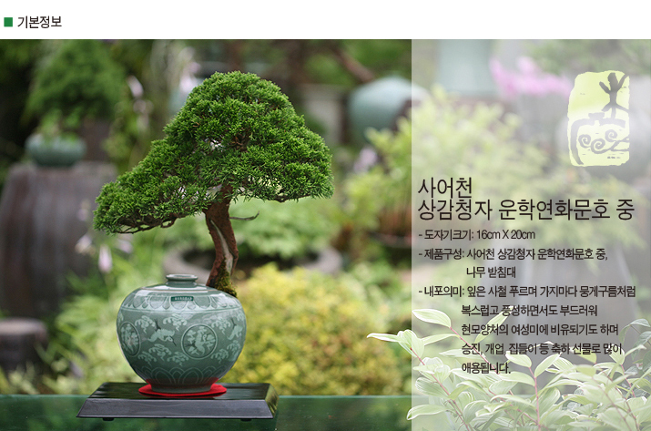설명이미지