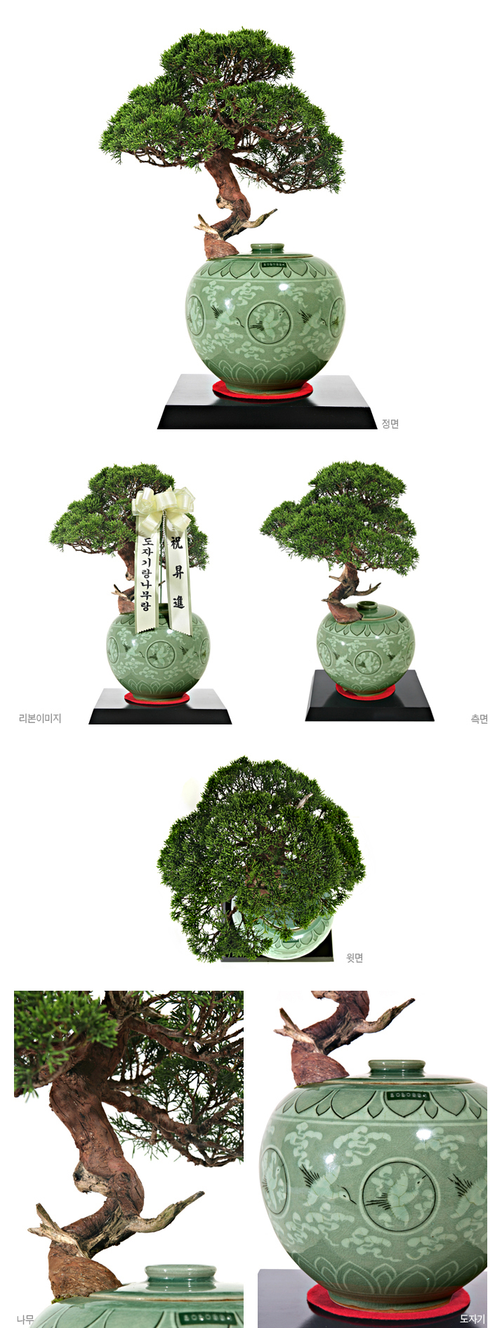 설명이미지