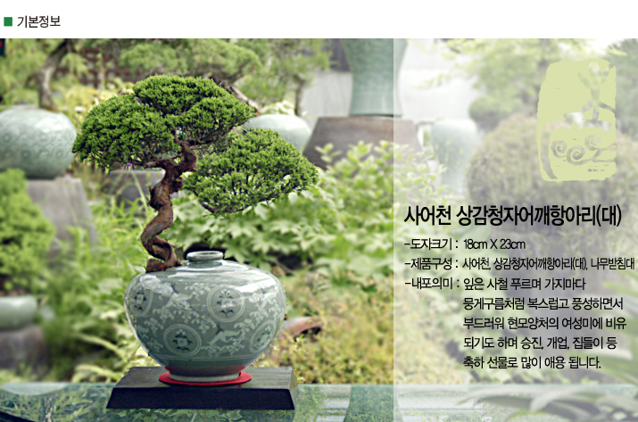 설명이미지