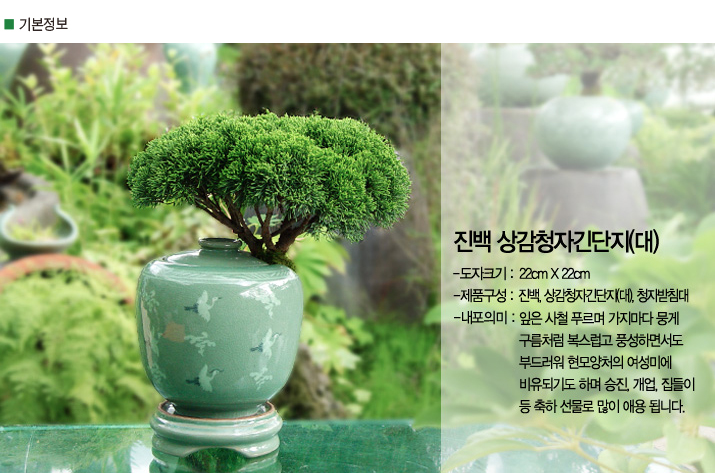 설명이미지