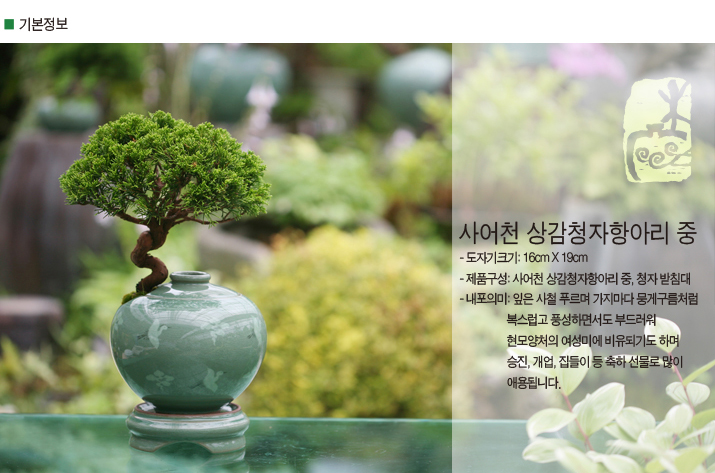 설명이미지