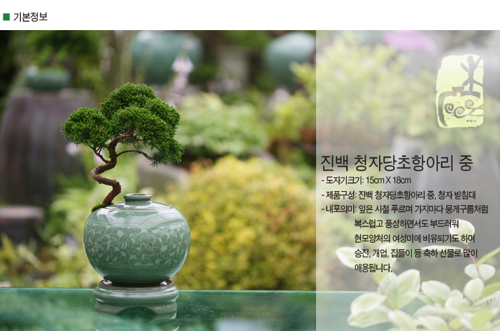 설명이미지