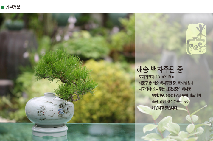 설명이미지
