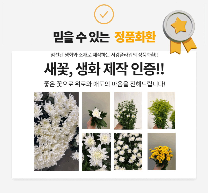 설명이미지