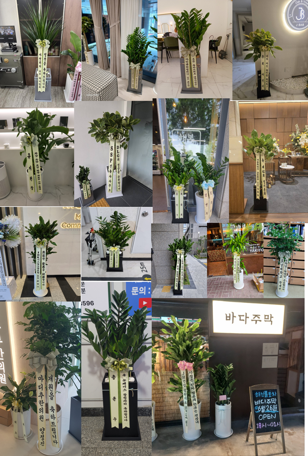 설명이미지