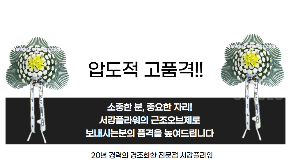 설명이미지