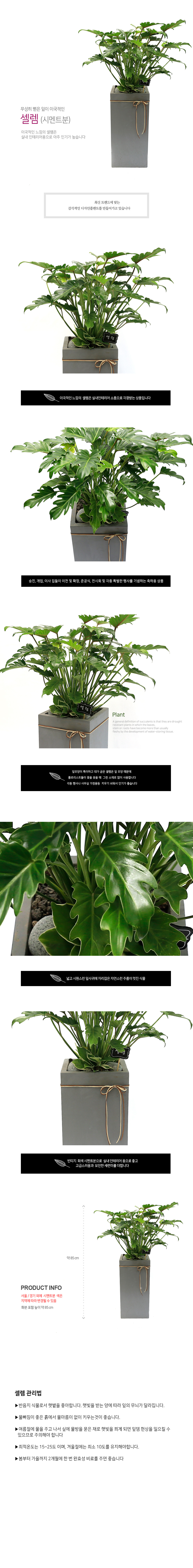 설명이미지