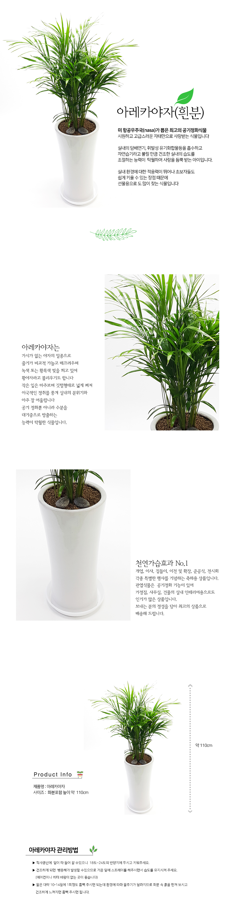설명이미지