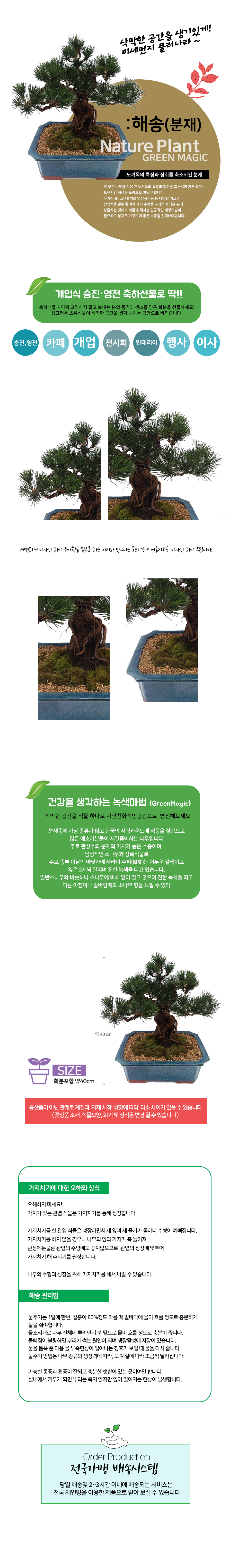 설명이미지