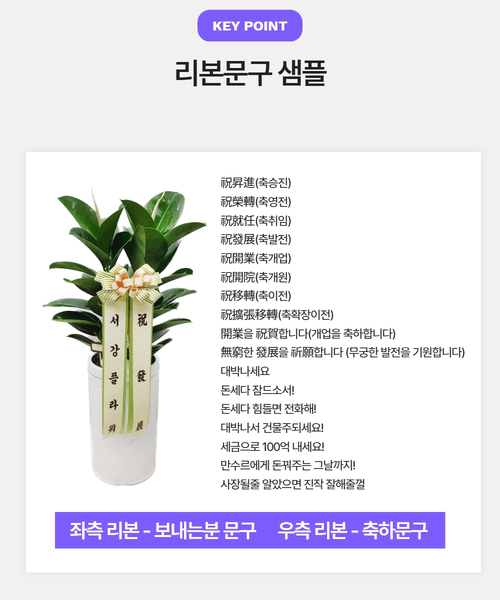설명이미지