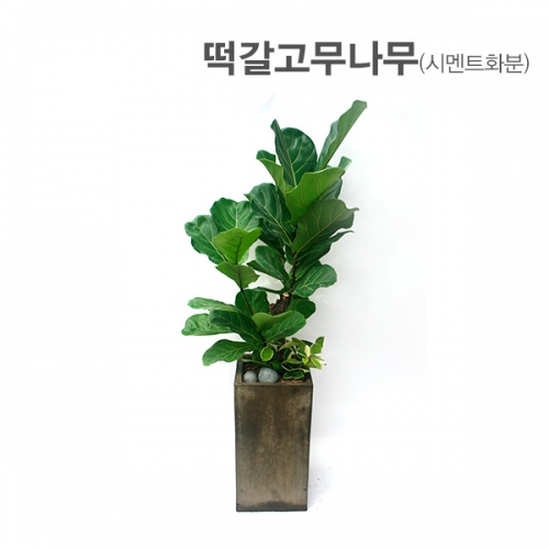 상품이미지